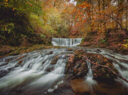 Jeremy Berman Findlay Ohio:Nature Photography