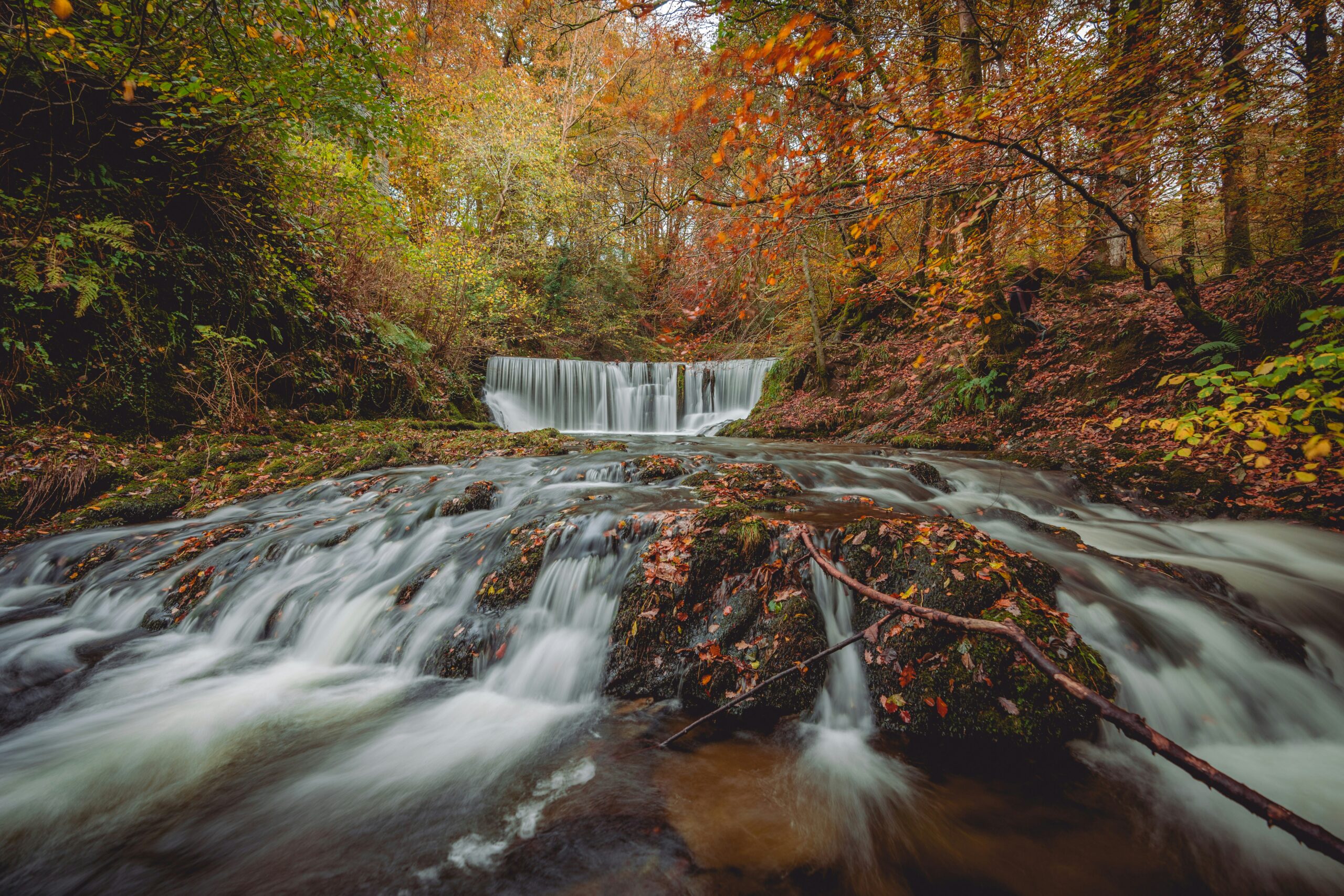 Jeremy Berman Findlay Ohio:Nature Photography